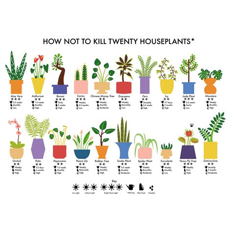 The 20 apps below, which range from free to under $20, are fun and useful tools for home gardeners, landscapers, and nature lovers alike. Plant Lovers - Hapava