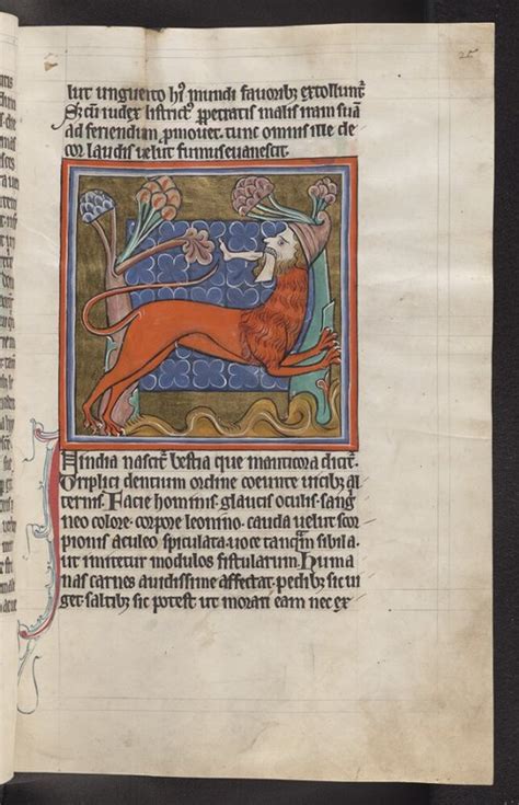 Aristotle On Ctesias On The Manticore And Unicorn — Ancient Medicine