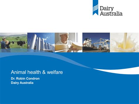 Animal Welfare Dairy Australia