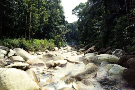 Macam inilah pemandangan di tingkat yang paling bawah di hutan lipur sungai gabai. terengganusohor: Ketenangan Hutan Lipur Lata Payong