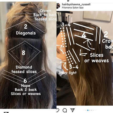 Balayage Placement Diagram