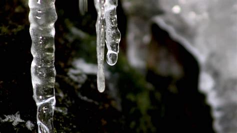 Winter Icicles Melting On The Roof Under The Spring Sun And Dripping
