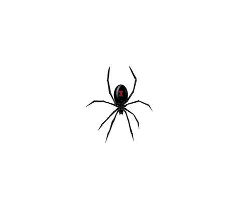 Black Widow Spider 101432 Free Svg Download 4 Vector