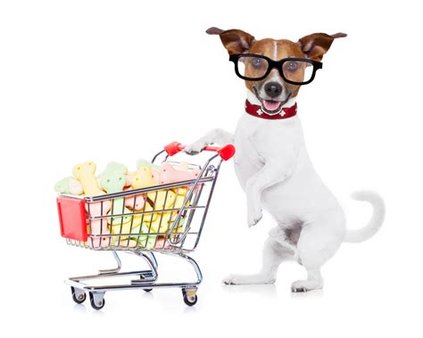 Shutterstock267768668 Dog Shopping Comp Ware Systems Inc