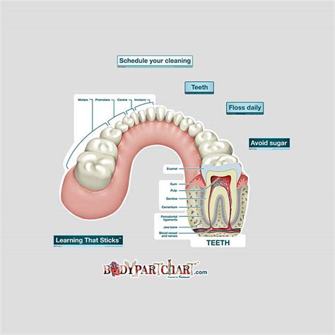 Hi all, i have uploaded a new medical animation tutorial. 1-877-328-8877
