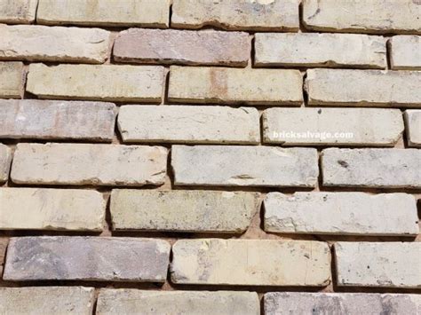 Milwaukee Cream City Brick Veneer Tile