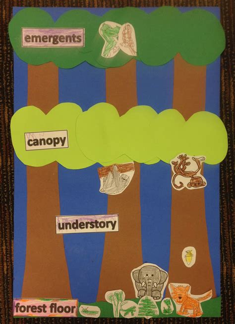 Rainforest Activities For Kindergarten