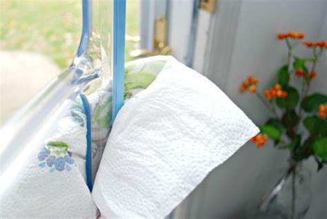 Your spots should be gone. How to Clean Windows and Keep Them Streak Free