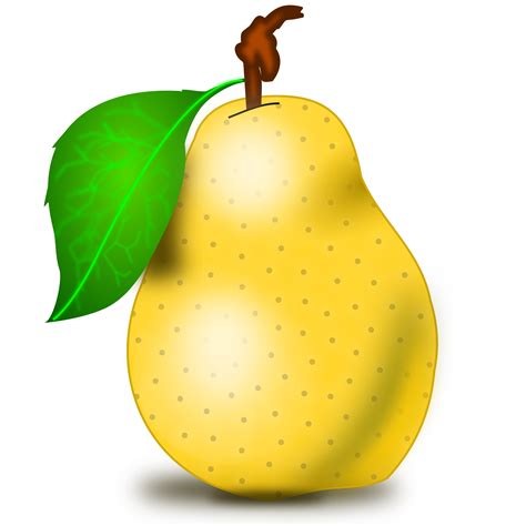 Pear Clipart Pear Fruit Pear Pear Fruit Transparent Free For Download