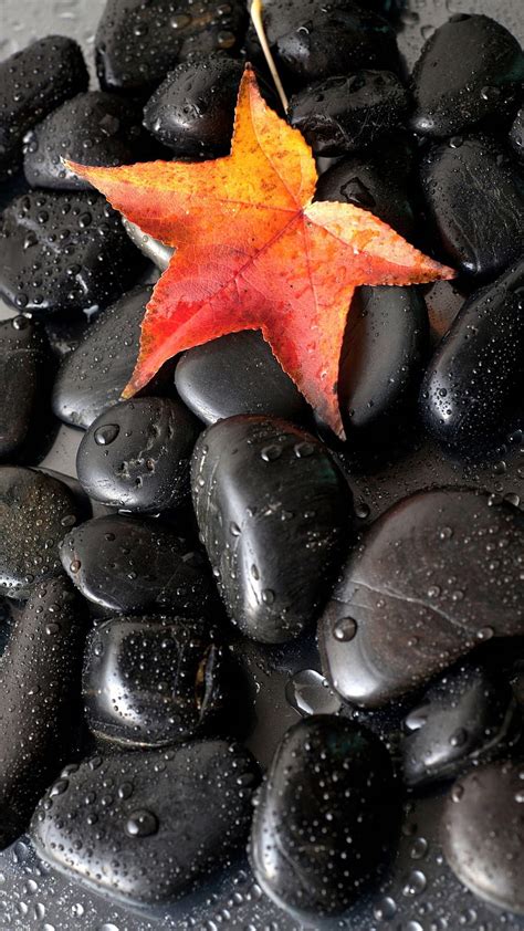 Black Zen Stones Drops Leaf Water Hd Phone Wallpaper Peakpx