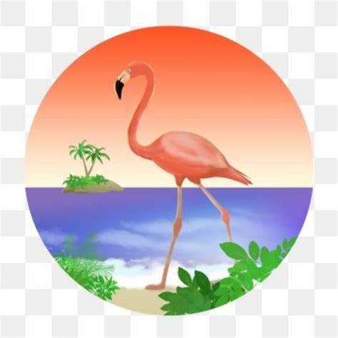 Download High Quality Flamingo Clip Art Beach Transparent