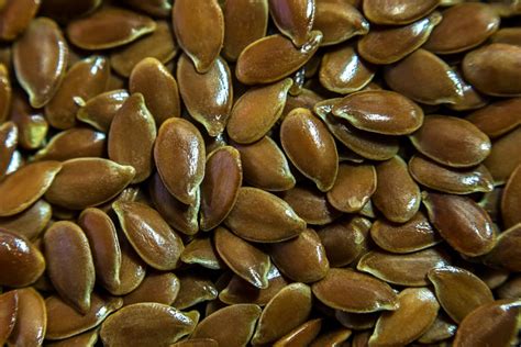 Contextual translation of flax seed in malay into malay. Health Benefits of Flax Seeds: 7 Amazing benefits of ...