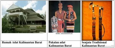 nama suku tarian lagu daerah senjata rumah pakaian adat indonesia freewaremini