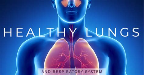 Healthy Lungs And Respiratory System