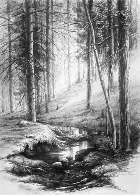 Forest Interior Inspired By Ivan Shishkin Works Pencil Drawing 50x70