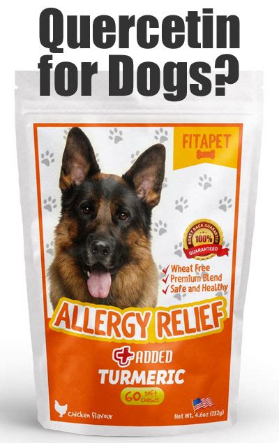 Fitapet Natural Allergy Relief For Dogs Does It Work