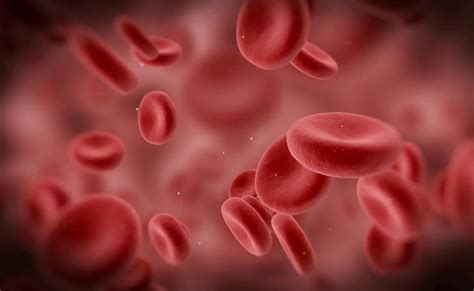 Apakah anda pernah melihat atau mendengar biji rami? Tekanan Darah Normal: Pastikan Selalu dalam Batas Wajar