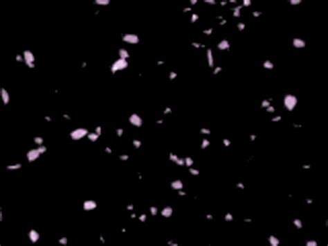 Find gifs with the latest and newest hashtags! Confetti | Falling gif, Aesthetic gif, Overlays tumblr