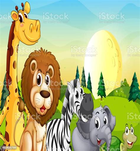 Animals At The Hilltop With Pine Trees Stock Illustration Download