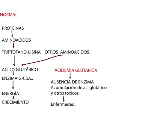 Acidúria Glutárica Tipo 1