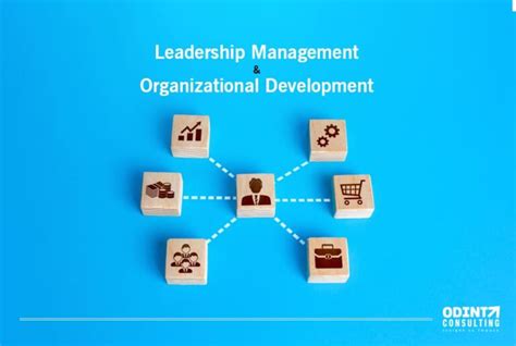leadership management and organizational development 2022 odint consulting