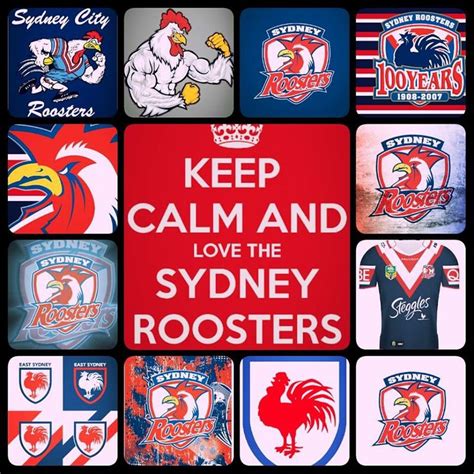 Love The Roosters Rooster Nrl Rugby League