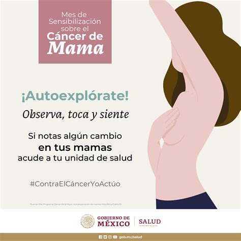 165 Prevención Y Detección Oportuna Fundamentales En Control De Cáncer De Mama Secretaría De