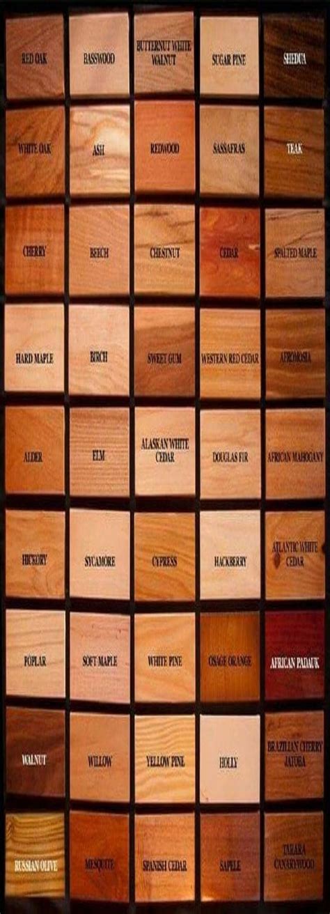 Wood Identification Chart How To Identify Different Types Of Wood Dona