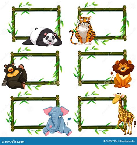 Six Bamboo Frames With Wild Animals Stock Vector Illustration Of Lion