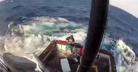 600 Lb Marlin Gets In The Boat ROFFS