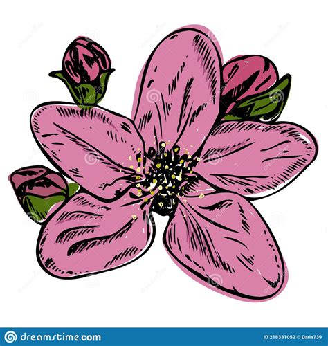 Cherry Or Apple Blossom Flower In A Vector Style Isolated Colorful