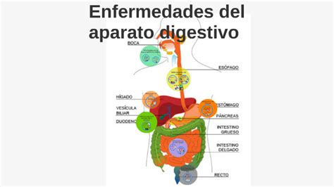 Enfermedades Del Aparato Digestivo By Javier De Santiago Soto