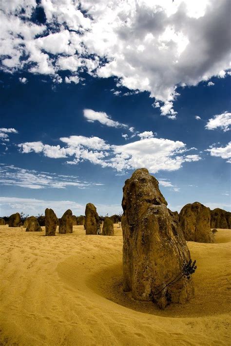 28 Photos From Most Unusual Landscapes Around The Worldpinnacle Desert