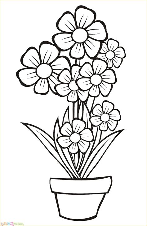 Gambar sketsa bunga anggrek untuk mewarnai sama seperti bunga anggrek pada umumnya, hanya saja biasanya bunga anggrek ini di bentuk baik dalam bentuk mekar, hingga dalam bentuk kuncup. 250+ Gambar Mewarnai Anak Bagus: Lengkap 2020
