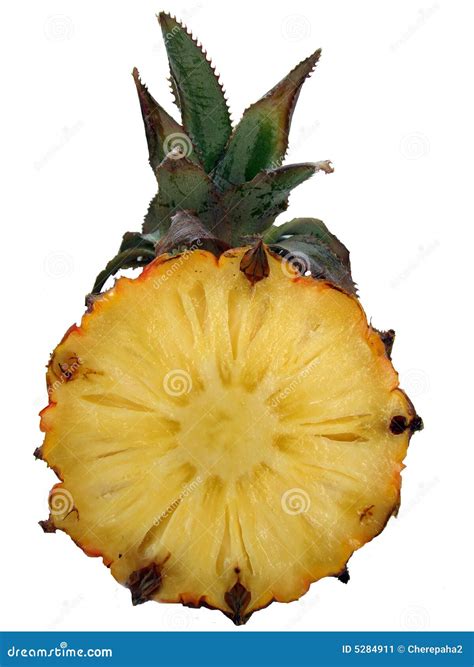 Ripe Juicy Pineapple Stock Image Image Of Ripe Eating 5284911