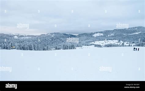 Snowy Landscape On The Ski Slopes In Bavaria In Winter Stock Photo Alamy