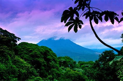 Arenal Volcano And The Lush Tropical Rainforest In La Fortuna Costa