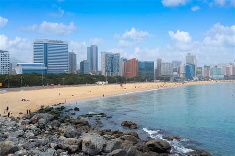 Wisata Malam yang Menyegarkan di Busan: Pasar Ikan Jagalchi hingga Haeundae Beach