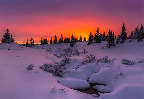 Winter Sunset Image Id 337114 Image Abyss