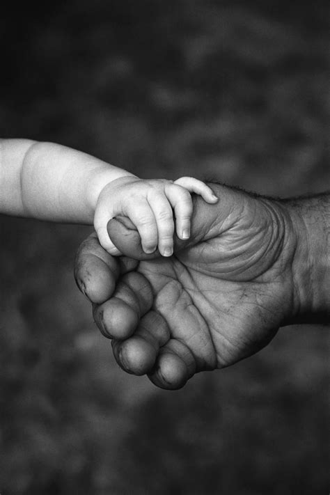 Babys Hand Holding On To Adult Hand Pacificstock Print Baby Hands