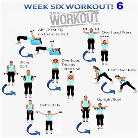 6 Week Full Body Workout Plan Albertine Truchon