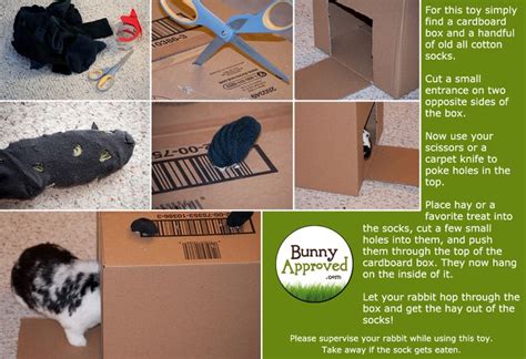 You'll be blown away by these 32 things to and boys will love this too! DIY Rabbit Toy Ideas | | Pets | Pinterest | Cardboard ...