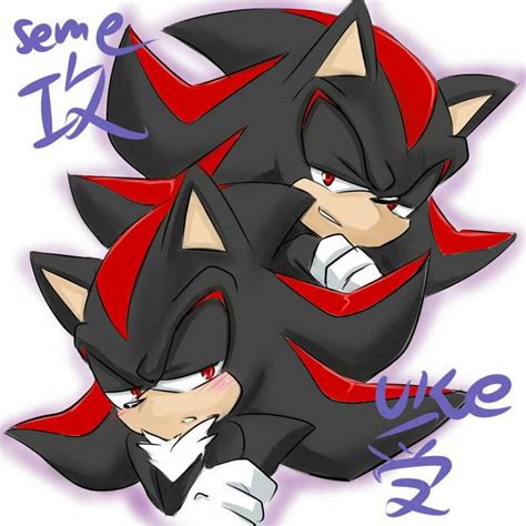 1000 Images About Sonic Y Sus Amigos On Pinterest Shadow The