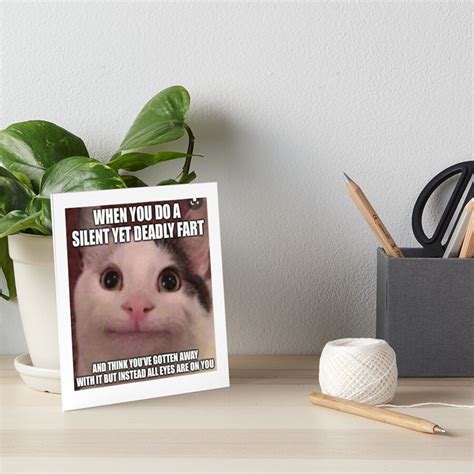 Polite Cat Meme Featuring Cute Beluga Cat A Funny Cat Meme Depicting A