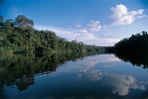 Travel Guide To Amazon River Brazil