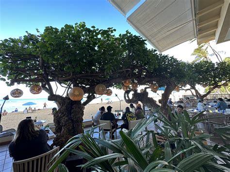 Hau Tree Lanai Brunch At Kaimana Beach Hotel The Search For The