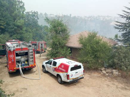 מאומתים פעילים (שיעור הבדיקות החיוביות ביממה האחרונה). N12 - שריפה בהרי ירושלים: תושבים פונו מבתיהם - כביש 1 נפתח...