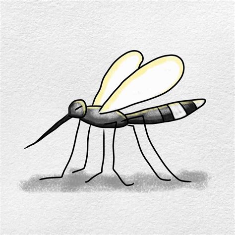 Share More Than 70 Mosquito Pencil Sketch Latest Vn