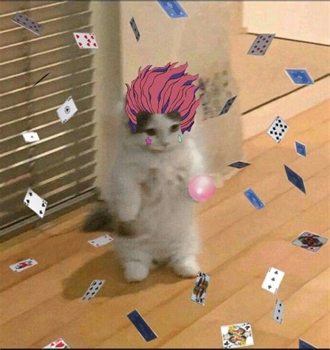 Pfp meme cat / submitted 1 hour ago by 1000_cats_. Hisoka in 2020 | Anime wallpaper, Funny anime pics, Hunter ...