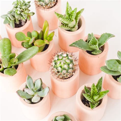 Here are the steps that will help you to download pinterest photos of any particular pinterest to fetch photos from a particular pinterest account, enter the username at required box, and press enter. Les 8 meilleurs tableaux Pinterest déco | Shake My Blog